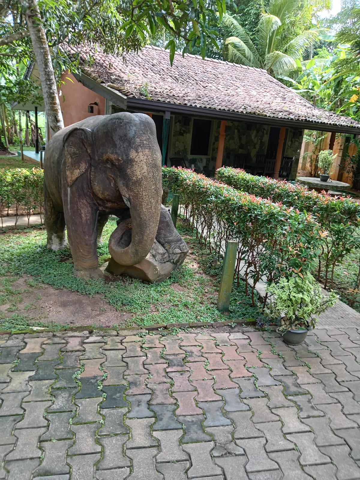 Villa Pinnawala Pinnawala